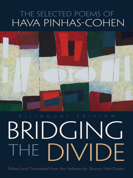 Cover of Bridging the Divide